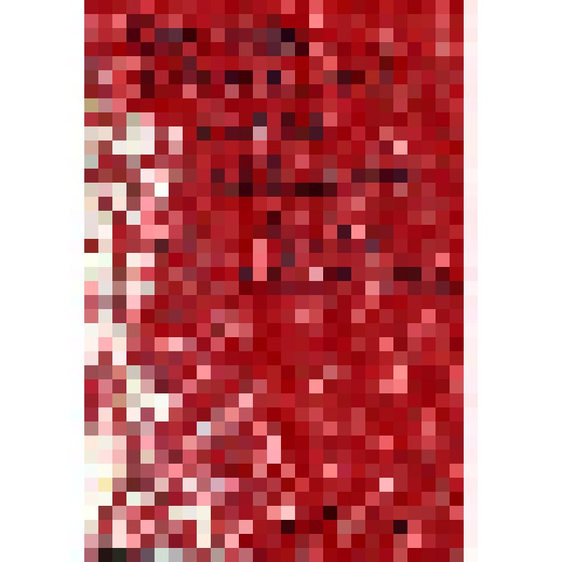 Фотокопия (погрудная). Киселева Д.С