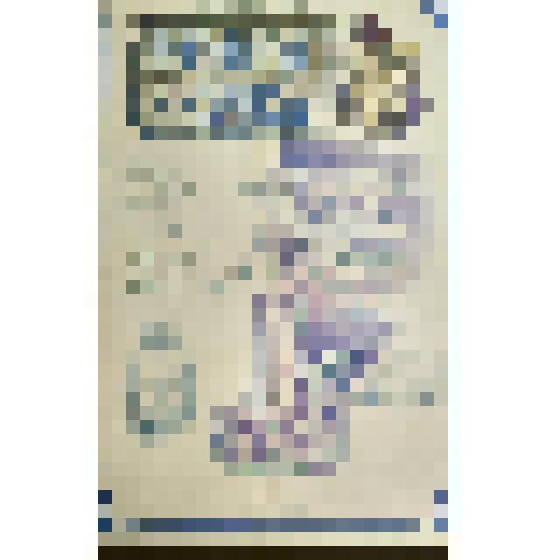 плакат. Фильм: Ледяная внучка. 1980