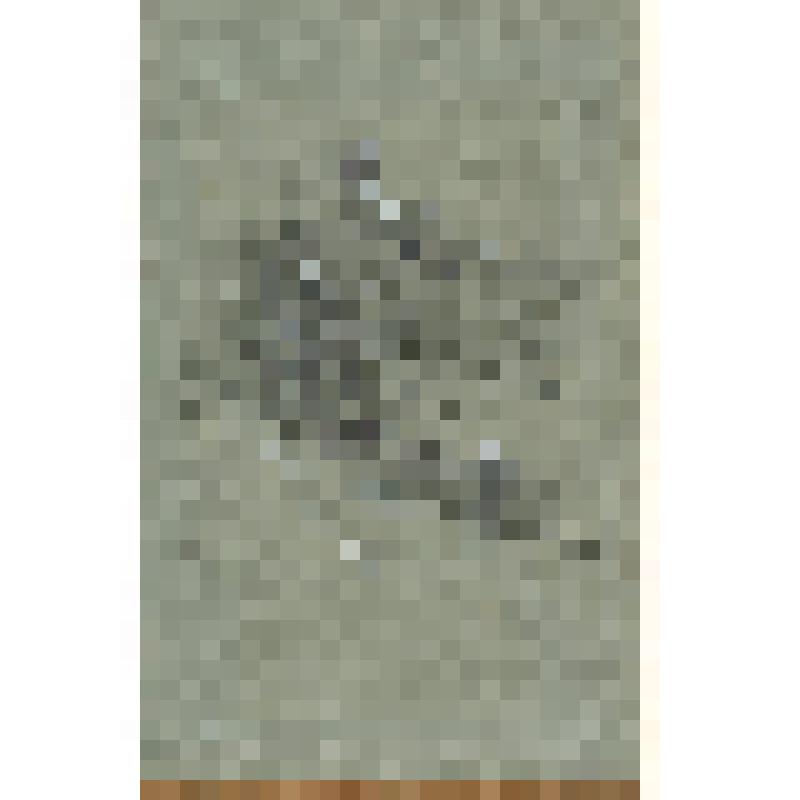 Церковь на косогоре