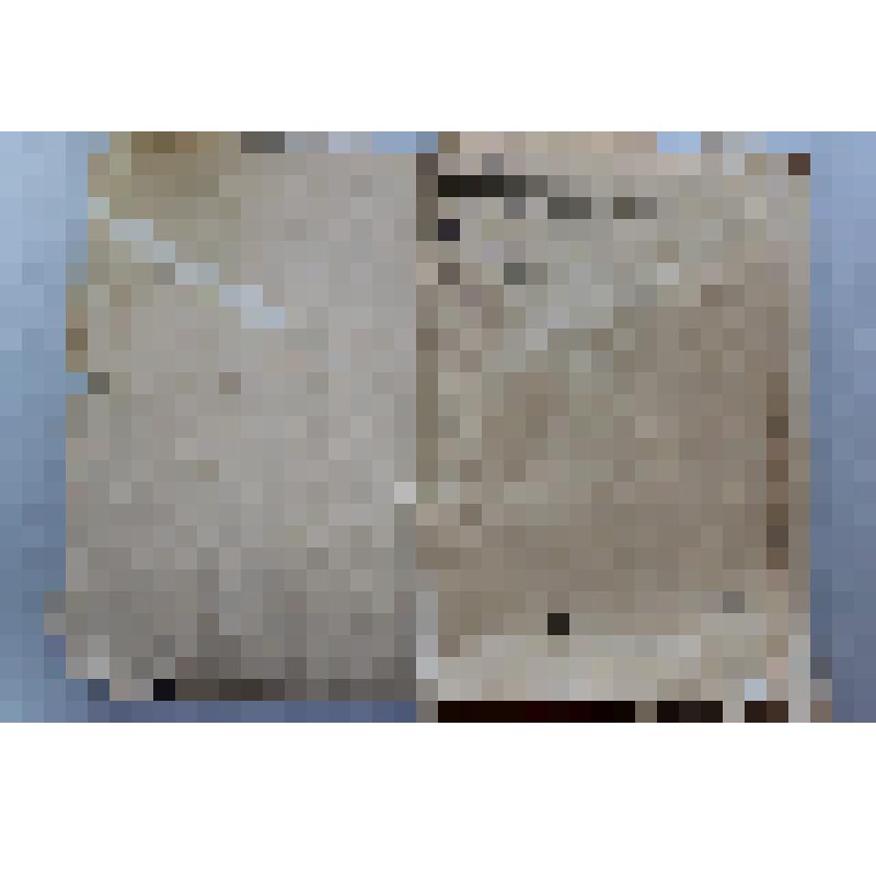 Безумству храбрых поем мы славу. Сборник. Памяти комсомольцев, погибших на Гражданской войне и комсомольской работе. Москва- Ленинград, Издательство «Молодая гвардия», 1929 г