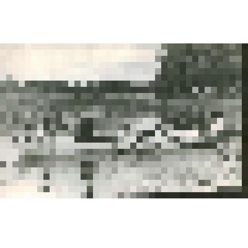 Фотография. Шаляпина Л.Ф., Шаляпин Ф.И., Шаляпин Б.Ф., Торнаги И.И., Шаляпина Т.Ф., Шаляпин Ф.Ф. и Шаляпина И.Ф. в Ратухино