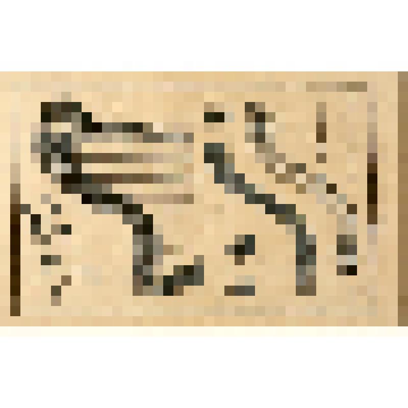 Гравюра. "Шейка арфы. Детали рычагов и рессор (которые ее скрепляют)"