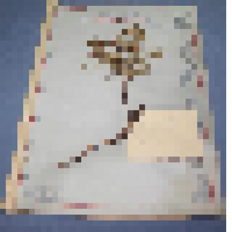 Ботаническая коллекция. Роза иглистая, на гербарном листе, по  реке Большие Сыры