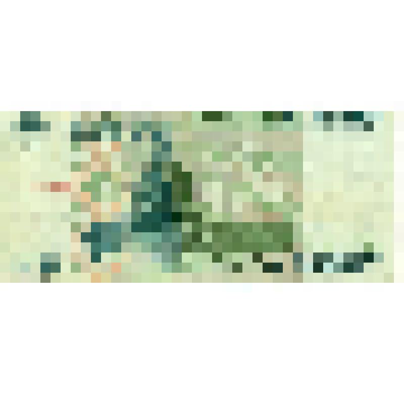 5000 рублей Билет банка России. 1995г. (БХ 0175728)