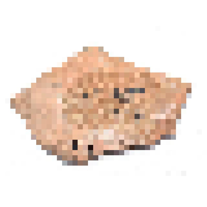 Сосуд (фрагмент)
