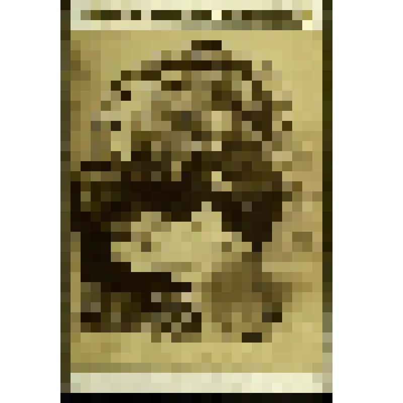 Фотография. Бахрушин А.А. с женой Верой Васильевной в Нижнем Новгороде на Всероссийской выставке