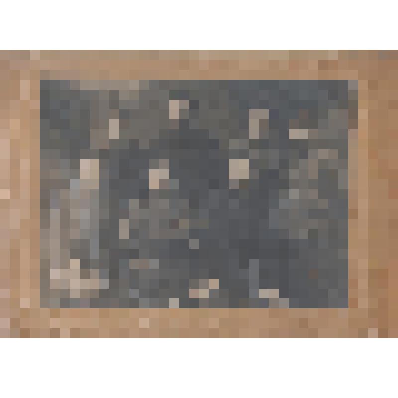 Фотография ч/б Членов Льговского УКОМА  ВКП(б)