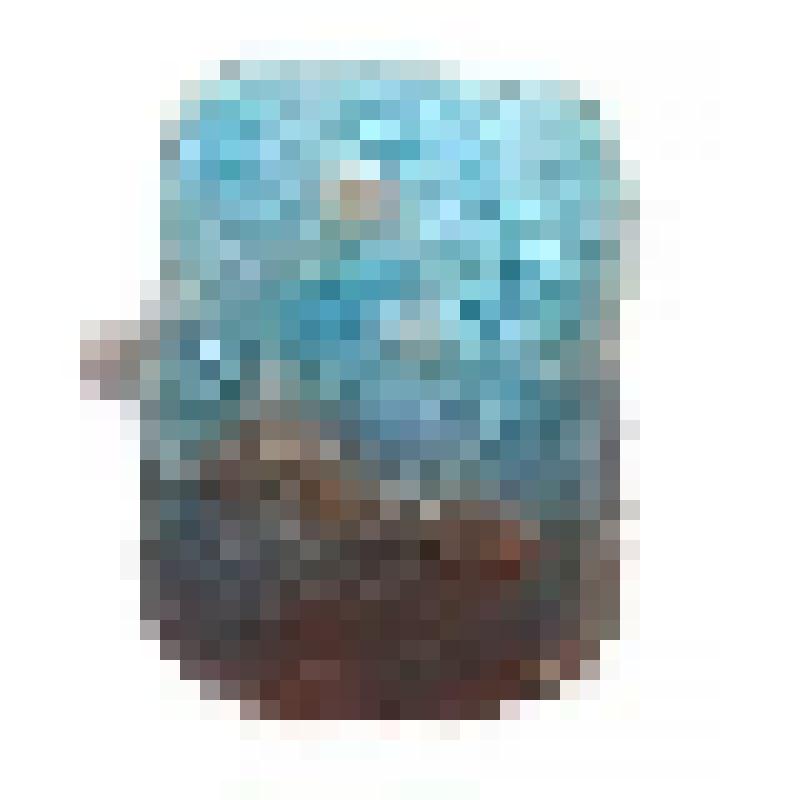 Бисер