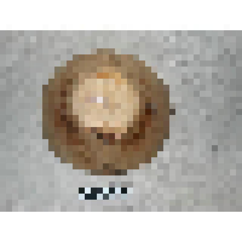 Чаша для замешивания теста