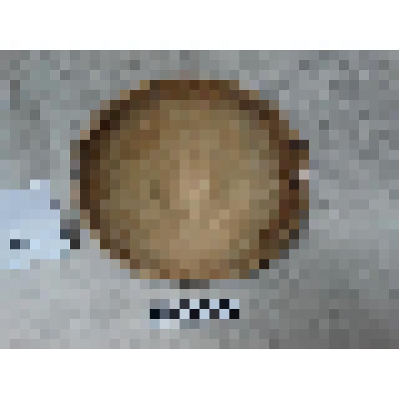 Чаша для замешивания теста