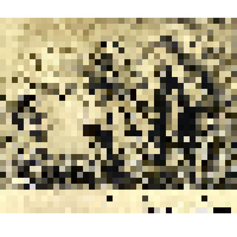 Фотоотпечаток. Лесник с семьей и волостной старшина. Карелы