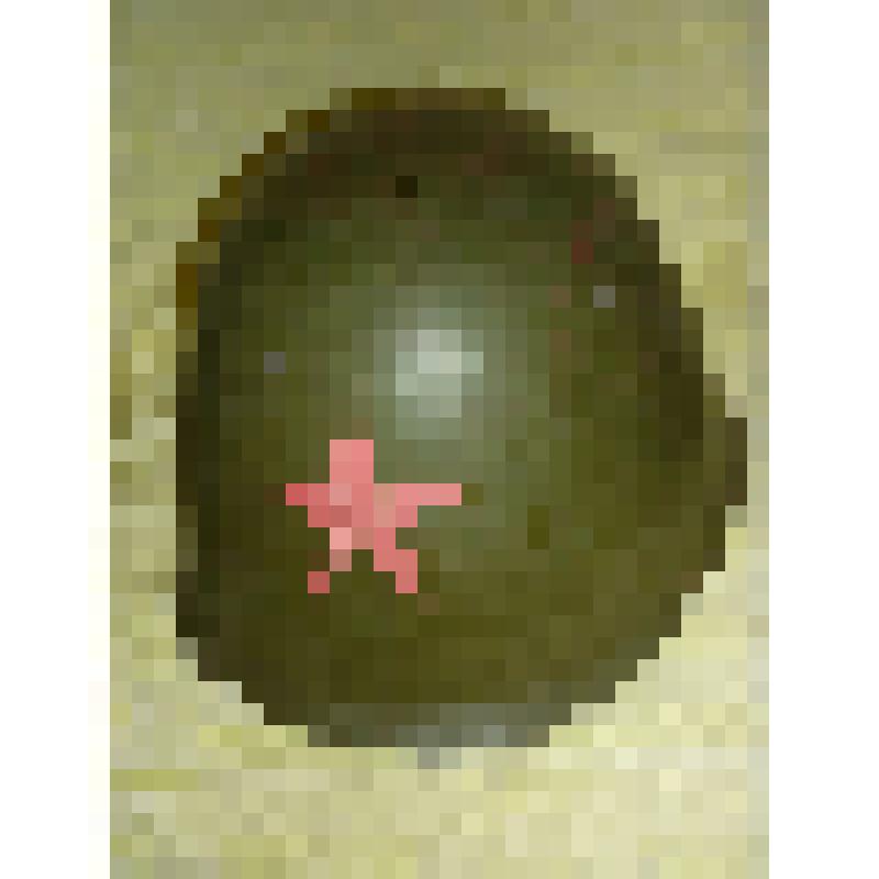 Шлем стальной армейский СШ-40