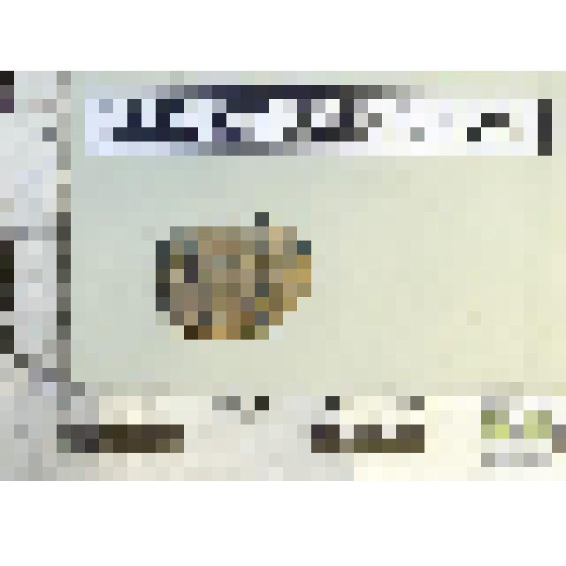 Торговая пломба