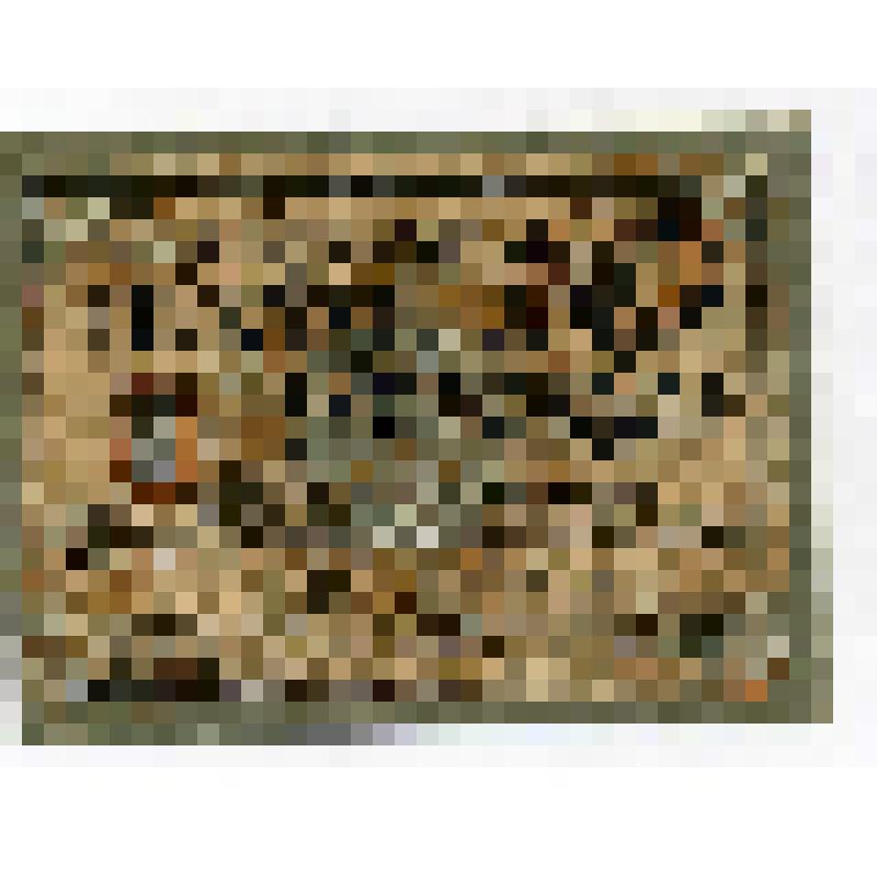 Бумажный денежный знак. Нотгельд г. Пирна. 10 пфеннигов. Германский Рейх (Веймарская республика)