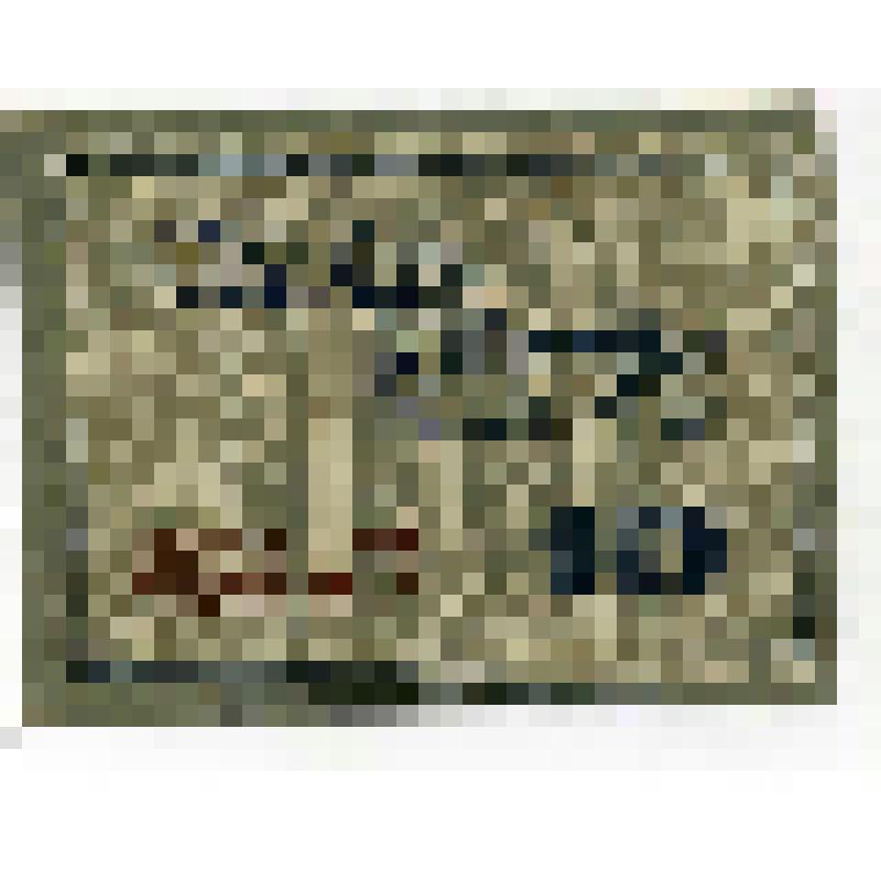 Бумажный денежный знак. Нотгельд г. Пирна. 10 пфеннигов. Германский Рейх (Веймарская республика)