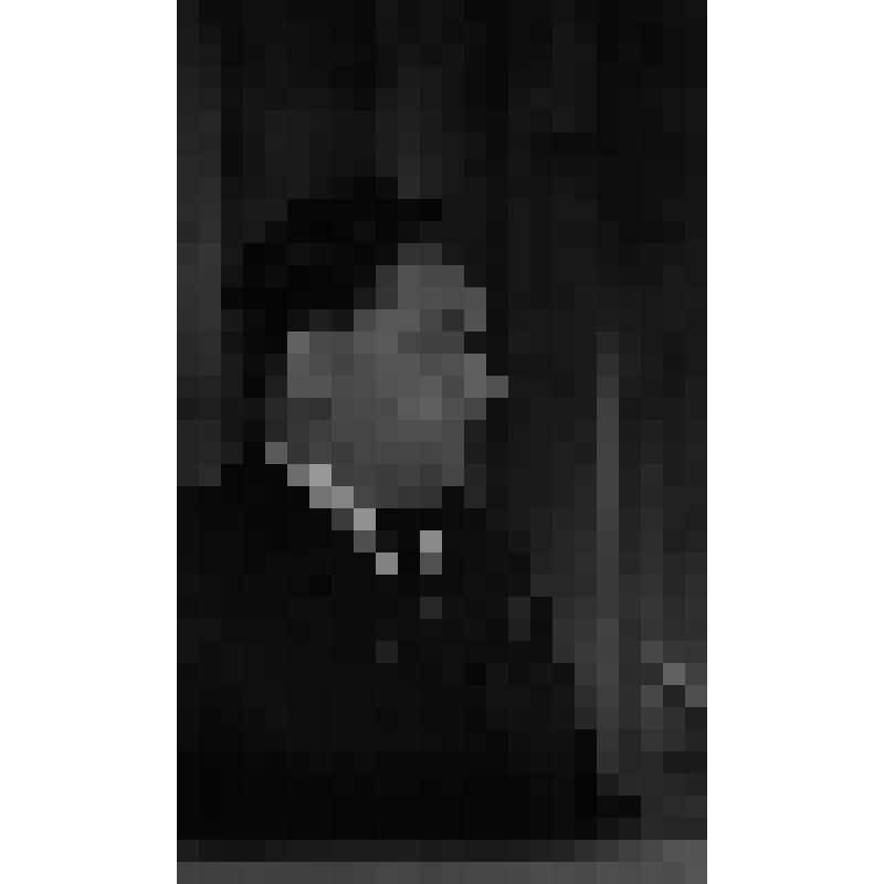 Фотонегатив. Вручение городу Волгодонску переходящего Красного Знамени ЦК КППС