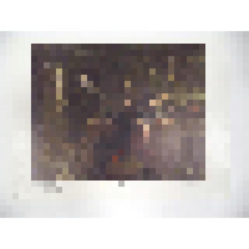 Плакат «Конец. Художники: Куприянов М.В., Крылов П.Н., Соколов Н.А. 1947-1948 гг.»
из комплекта репродукций «Великая Отечественная война в произведениях советских художников»