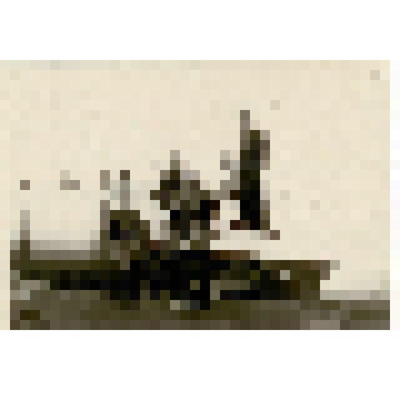 Фотография. Летчик-инструктор лейтенант Теслин В.С. проводит предполетный тренаж с курсантами Армавирского ВВАУЛ