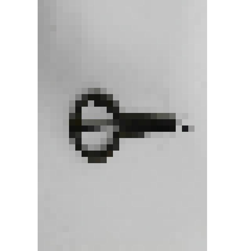 Варган английский