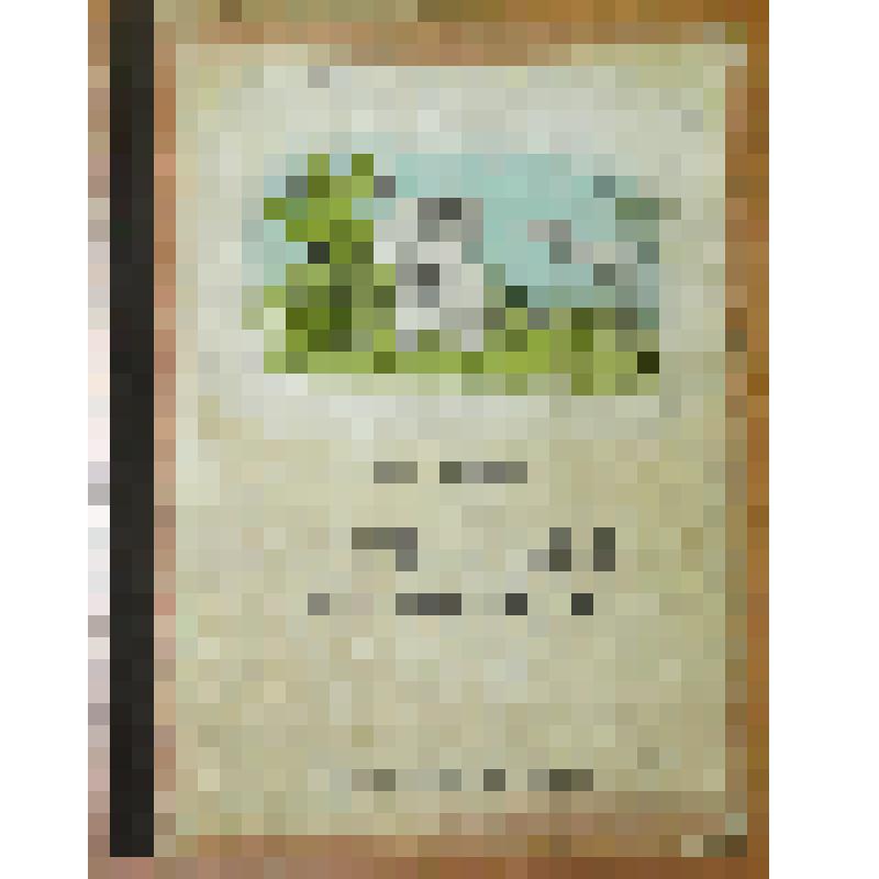 Книга "Рассказы для детей" ("Пичиослы веросъёс")