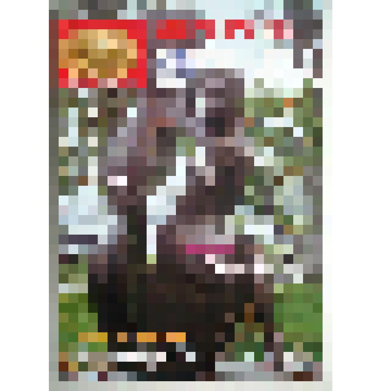 Книга-журнал "Маршруты отдыха" №1-3 (10-12) январь-март 2010. (Таганрог - 150 лет Чехову)