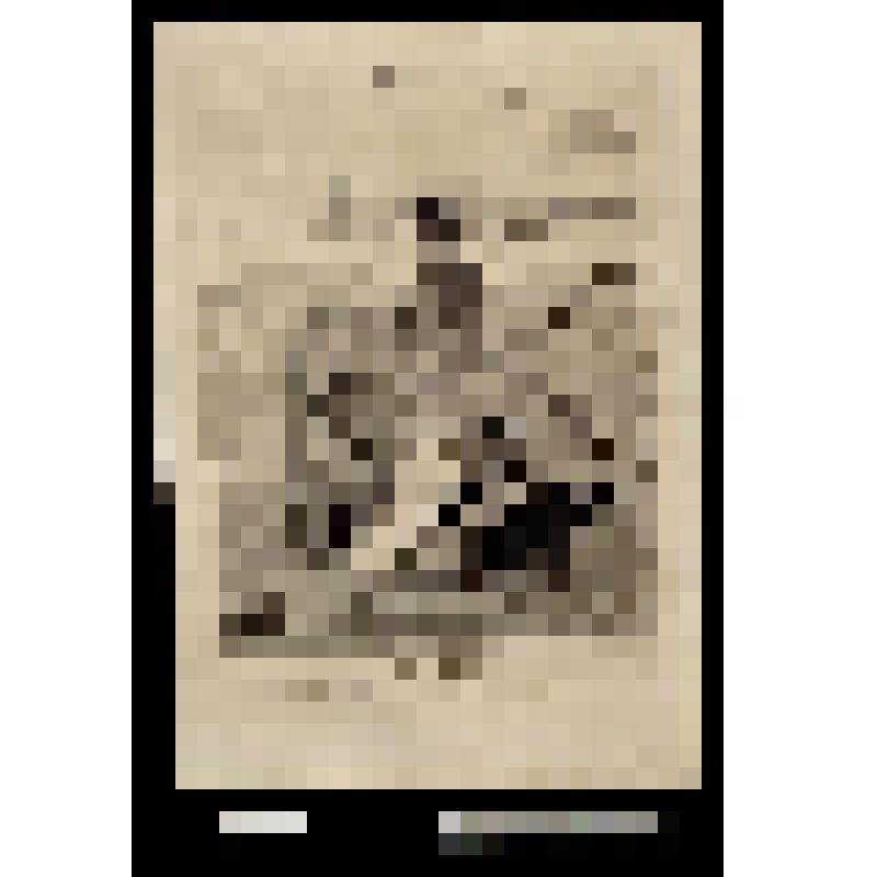 Une révolte à bord