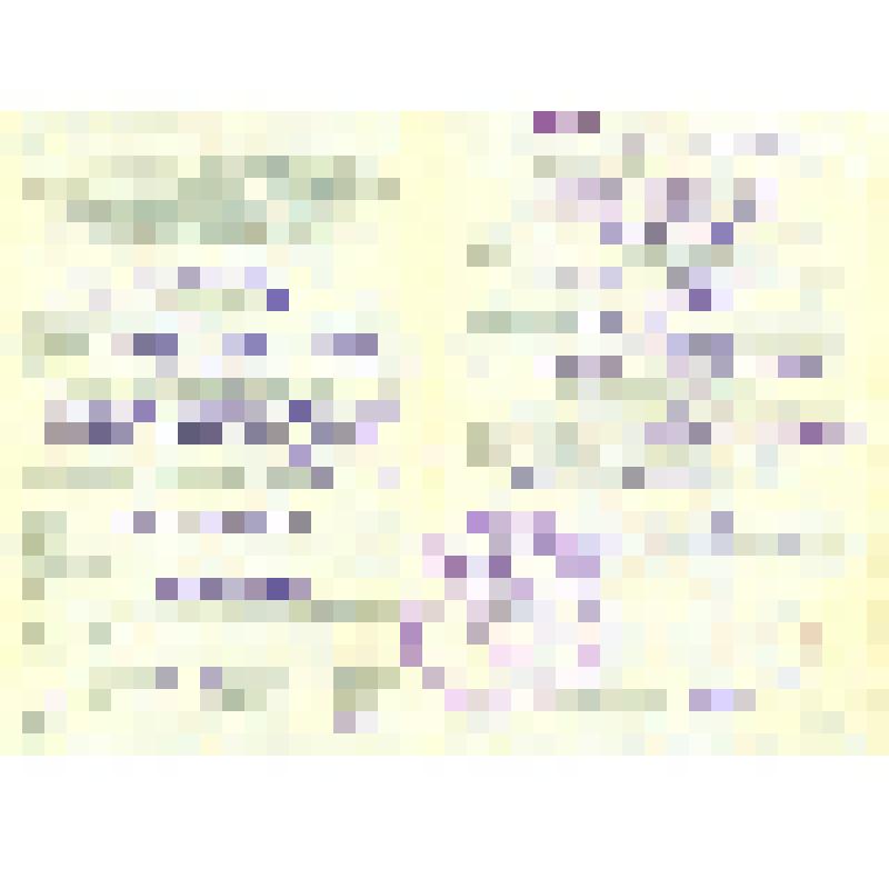 Свидетельство о рождении серии ЛГ № 275897, выданное Корнилову Геннадию Назаровичу