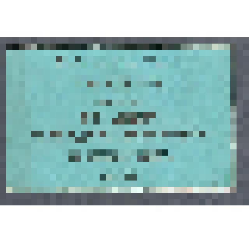 Билет входной. Билет входной в ложу директора Императорских театров, в Большом театре в Санкт-Петербурге