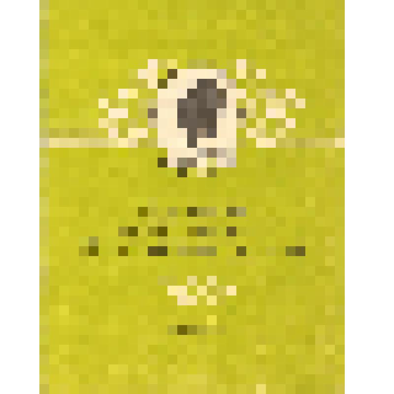 Программа концерта и торжественного заседания, посвященных открытию Дома-музея П.И. Чайковского