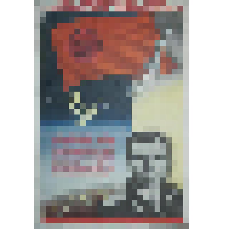 Плакат. "Слава коммунистической партии! Слава нашему народу - покорителю космоса!"