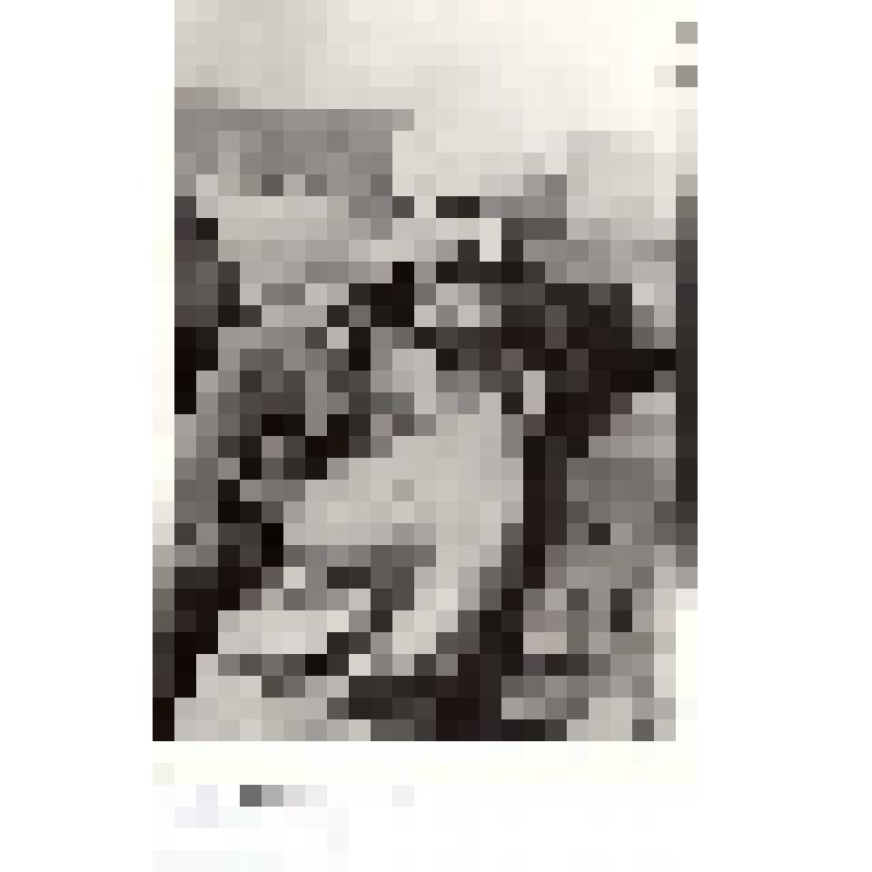 Фотокопия фотографии черно-белая, сюжетная. Тураева М.Т - заслуженная телятница колхоза " Сибирь"
