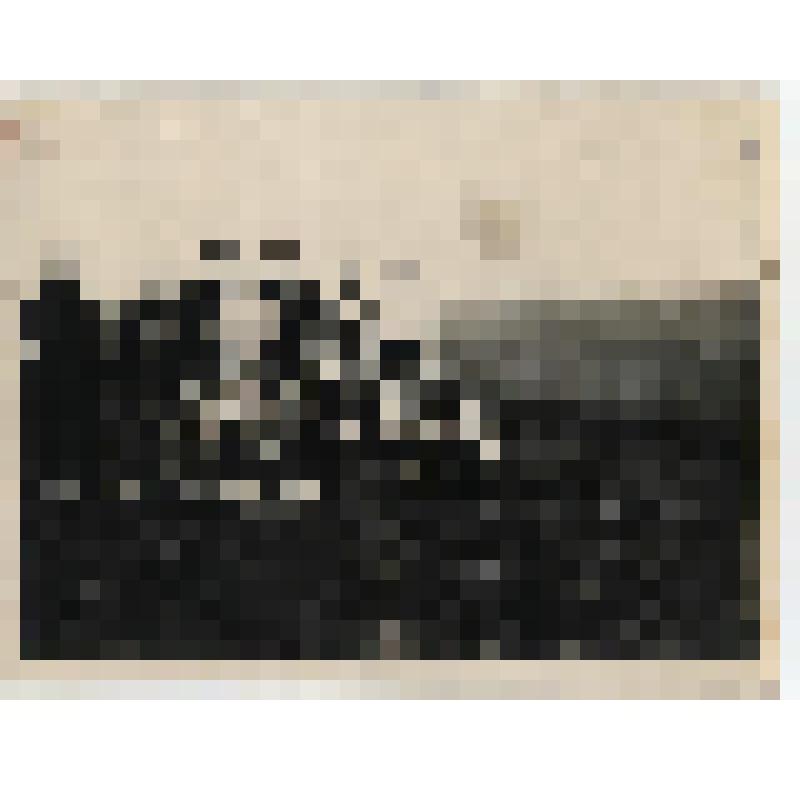 Фотография. Подсобное  хозяйство артели  "Универсал" (бытпромкомбинат), пос. Будогощь