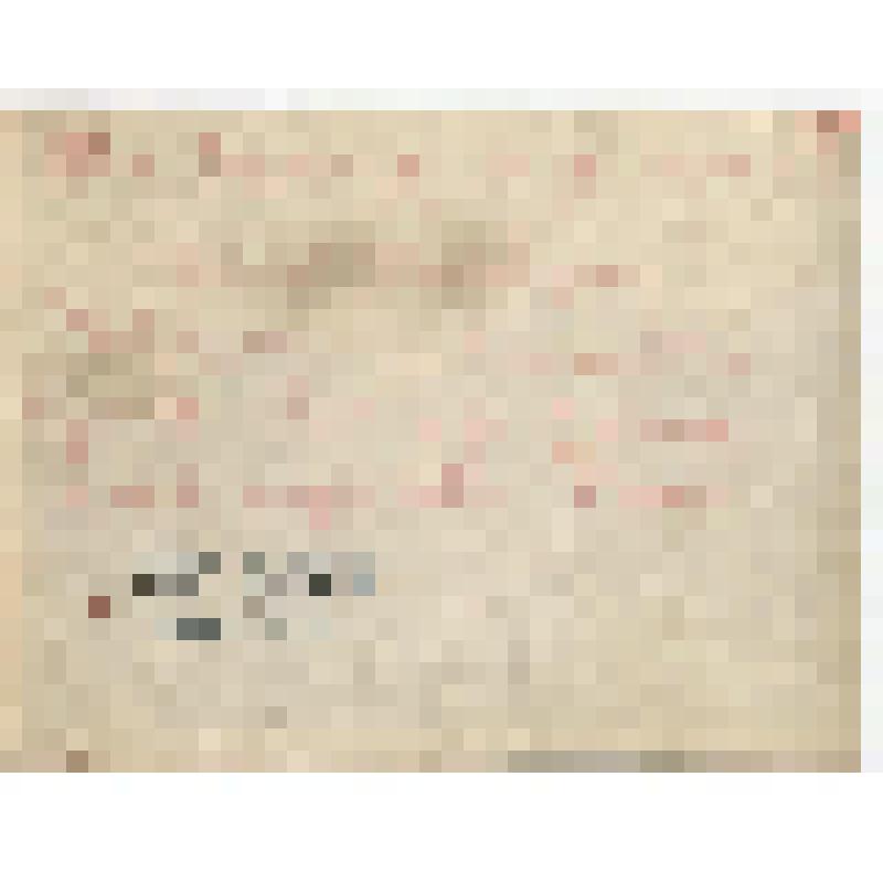 Фотография. Подсобное  хозяйство артели  "Универсал" (бытпромкомбинат), пос. Будогощь