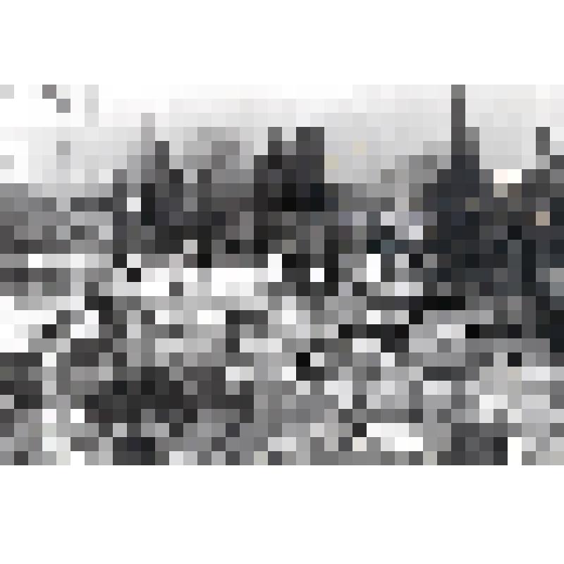 Фотография черно-белая "Сочи. Угол улиц Островского и К. Либнехта". СССР, г. Сочи, 1981 г