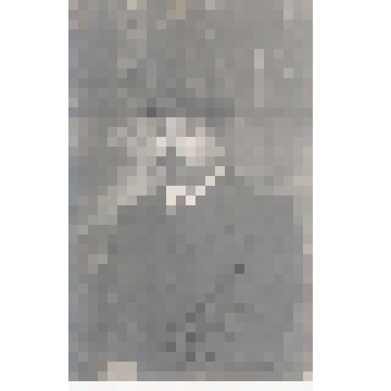 Открытка. Семен Тихий