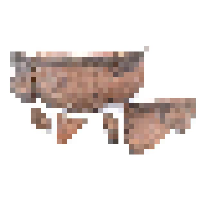 Сосуд (фрагмент)