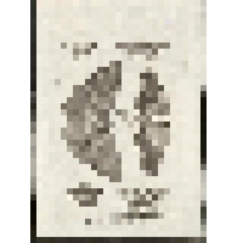 "Histoire Naturelle. Pl. X.Insectes. Antonio Baratti sc. Гравюра