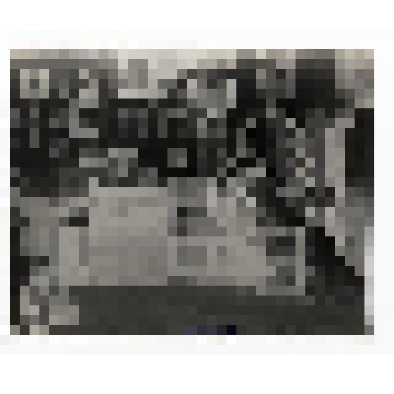 С.А. Толстая в Ясной Поляне в своей спальне