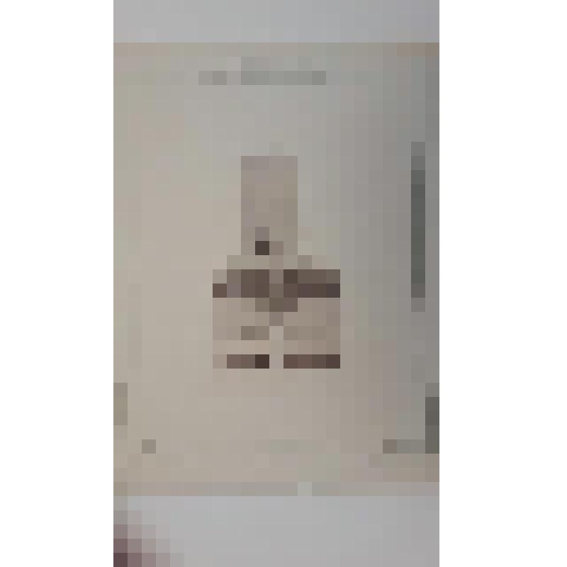 Храм Воскресения Христова ("Спас на Крови"), наб. канала Грибоедова.(Екатериниский), 26. 1883-1907 гг. г. Санкт-Петербург (Ленинград). Храм Воскресения Христова ("Спас на Крови"). Парланд Альфред Александрович. Второй конкурс проекта храма. Детальный и ге