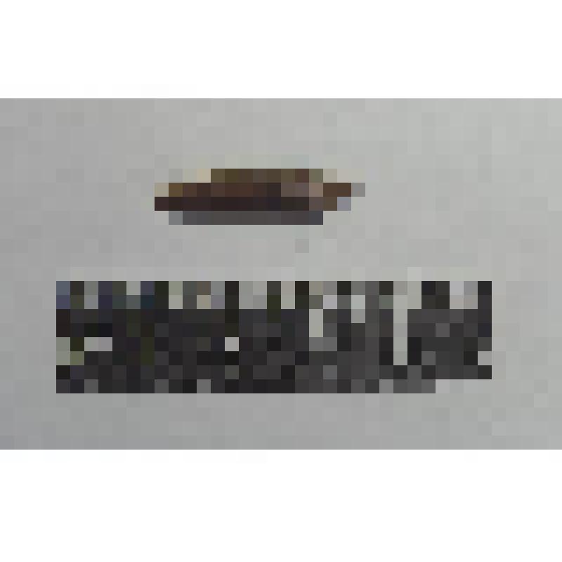 Зуб животного