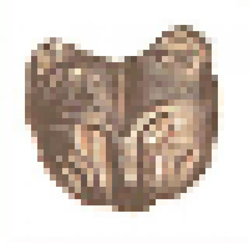 Бляха фигурная