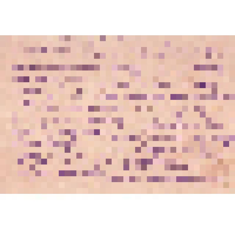 Открытое письмо М.И. Калинина Т.М. Ефимовой