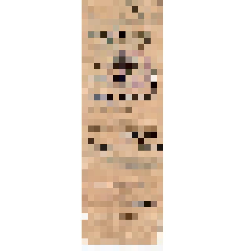 Удостоверение N 73 на имя т. (Кононовой) Горской Е.И., выданное Костромским горкомом ВКП(б)