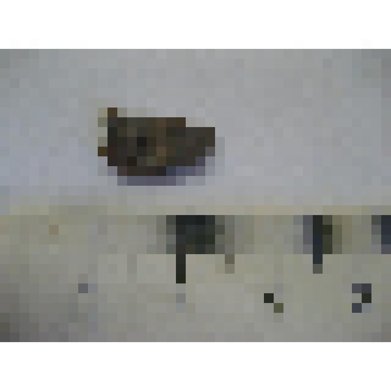 Отщеп мелкий. Из археологической коллекции поселения Проходная Лоза, (совр. Кировская область, Малмыжский район), эпоха бронзы, эпоха камня (VI-II тыс. до н.э.)