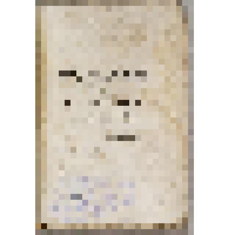 Книга. Art de fabriquer en Pierre Factice