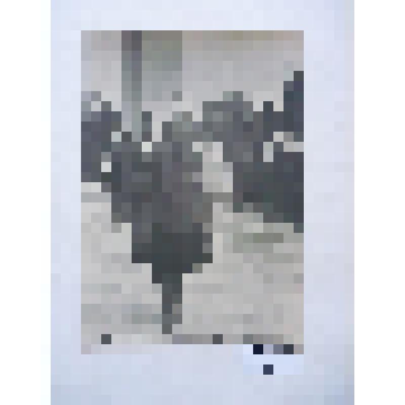 Фотоматериалы, отражающие деятельность Поста № 1 у мемориала "Огонь Вечной Славы". Фотография сюжетная