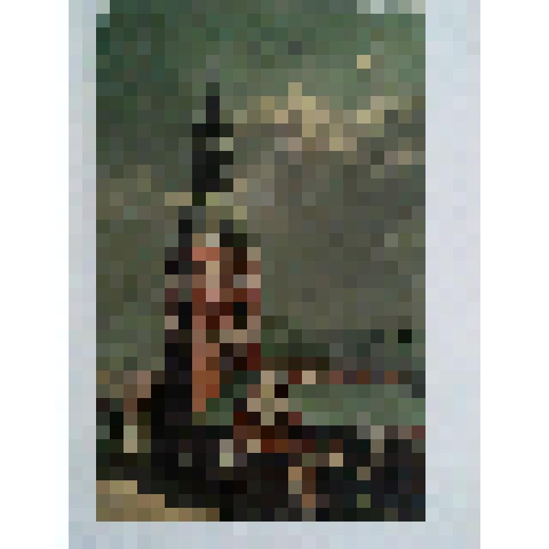 Домский монастырь. XIII в. Латвия, г. Рига. Домский монастырь. 1209, XIII-XVв. Общий вид