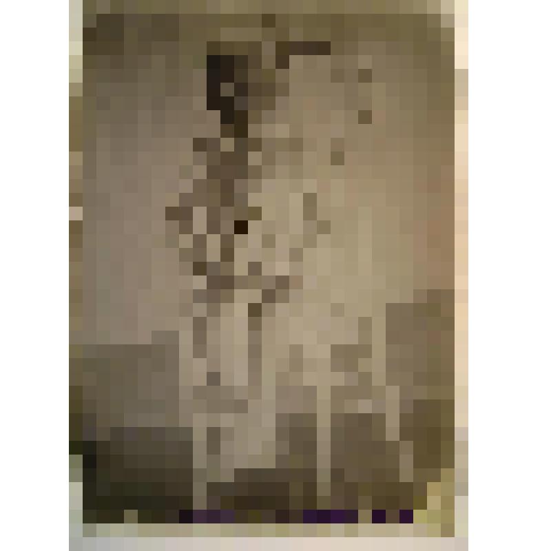 Негатив. Портрет мальчика на стуле