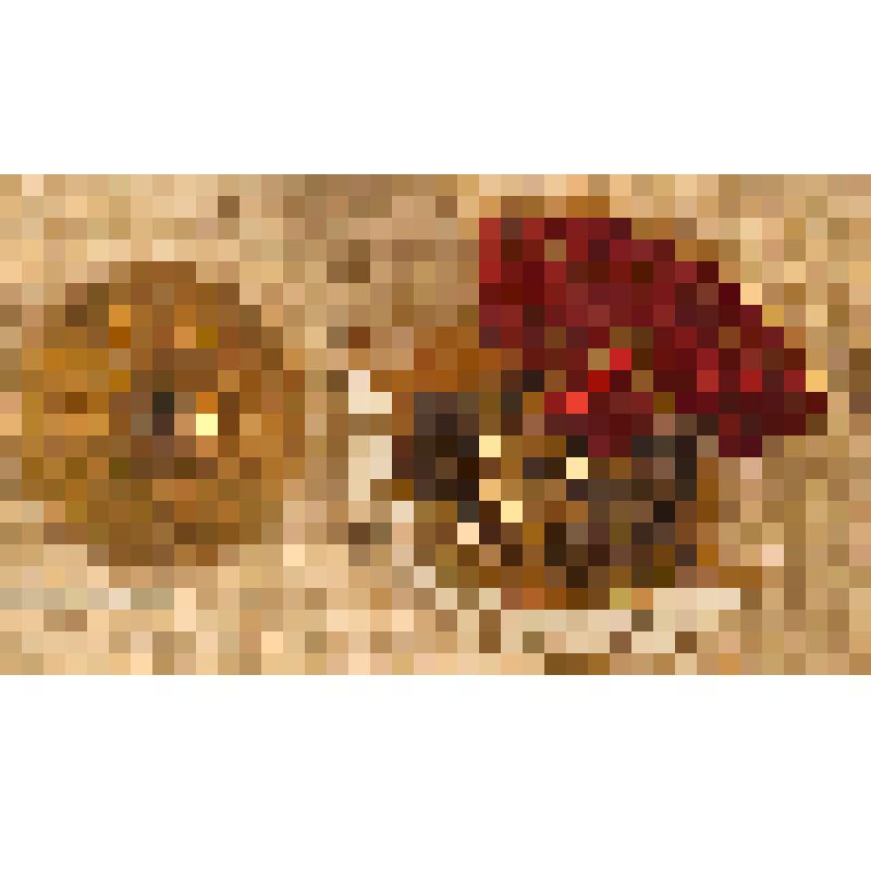 Знак нагрудный № 36068 «Отличнику здравоохранения» Полущева Федора Николаевича, главврача роддома № 5 г. Саратова, из коллекции материалов о Полущеве Федоре Николаевиче, враче-гинекологе, преподавателе СМИ, организаторе роддомов в Сталинском  (Заводском)