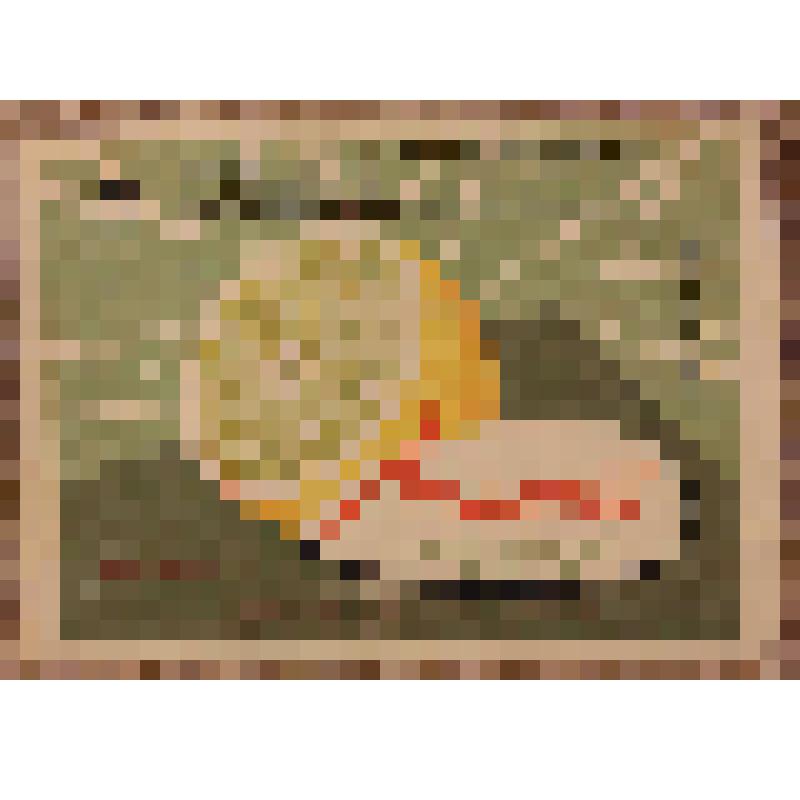 Этикетка бутылочная к напитку «Лимонад» производства комбината безалкогольных напитков «Куйбышевский», из коллекции этикеток бутылочных к минеральной воде, безалкогольным напиткам, сокам, сиропам